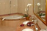 Polus Palace Hotel Bathroom - Polus Palace Luxushotel Göd - Luxushotel