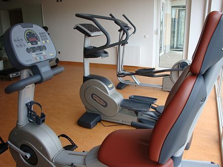 Fitnessraum des 4-Sterne-Wellnesshotels Szepia Bio Art in Zsambek