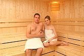 Thermal Hotel Liget - die finnische Sauna des 3-Sterne-Thermalhotels, 15 km von Budapest entfernt